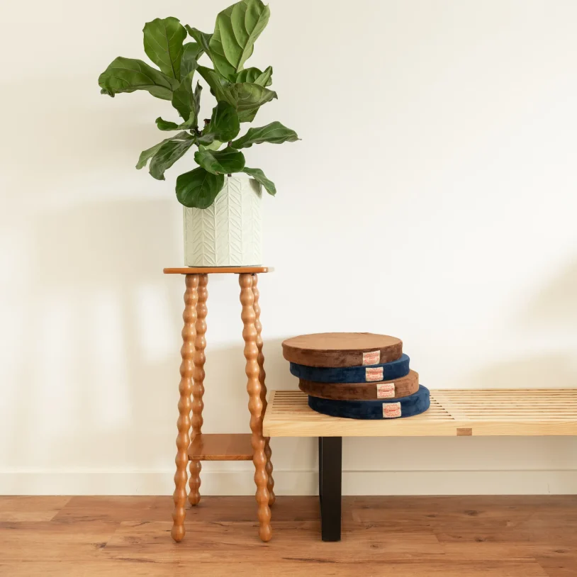 Detail of Mendocino Coast resort room décor with fiddle-leaf fig plant and modern wood furniture