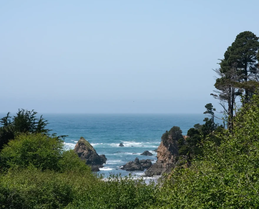 Pacific Ocean view with cliffs and trees at our Fort Bragg hotel on the Mendocino Coast