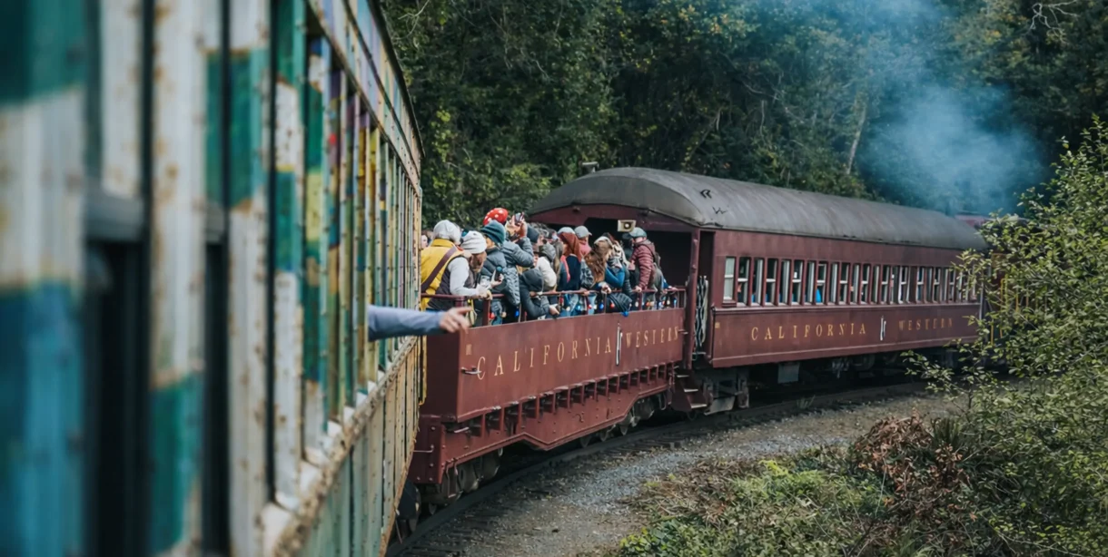 Skunk train going through the redwoods