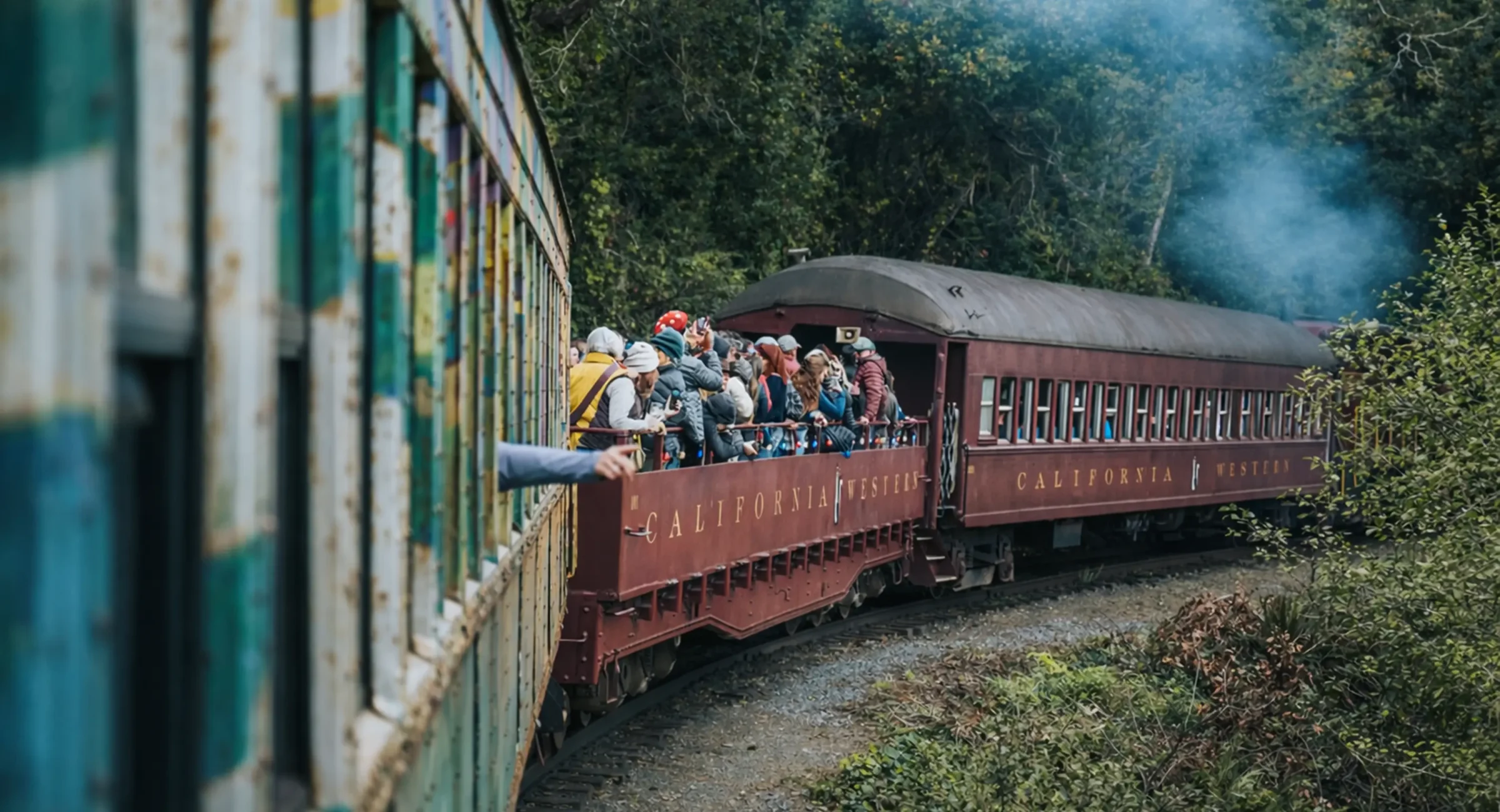 Skunk train going through the redwoods